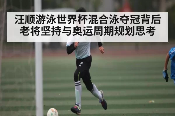 汪顺游泳世界杯混合泳夺冠背后 老将坚持与奥运周期规划思考
